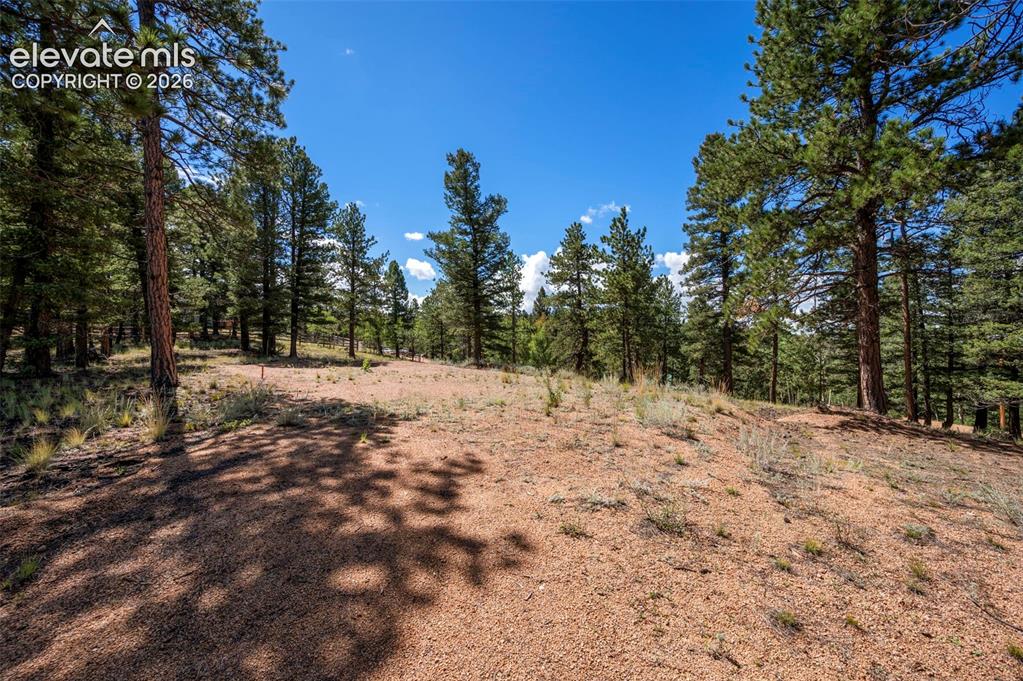 210 Donzi Trail Florissant CO 80816