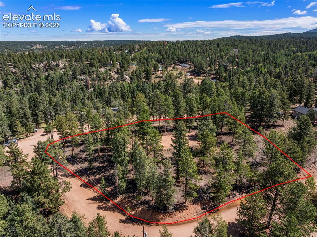 210 Donzi Trail Florissant CO 80816