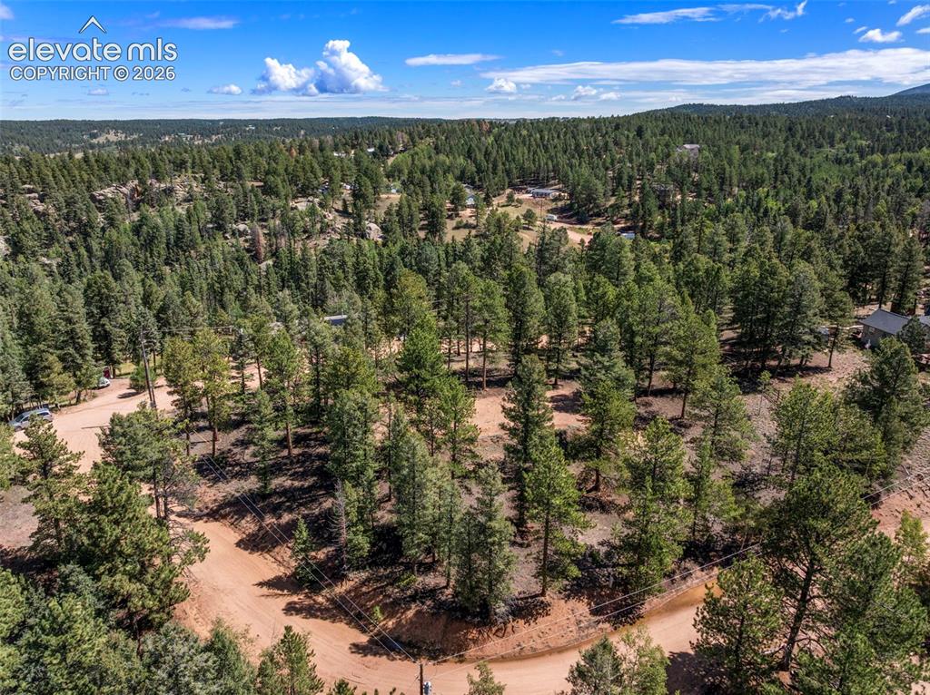 210 Donzi Trail Florissant CO 80816