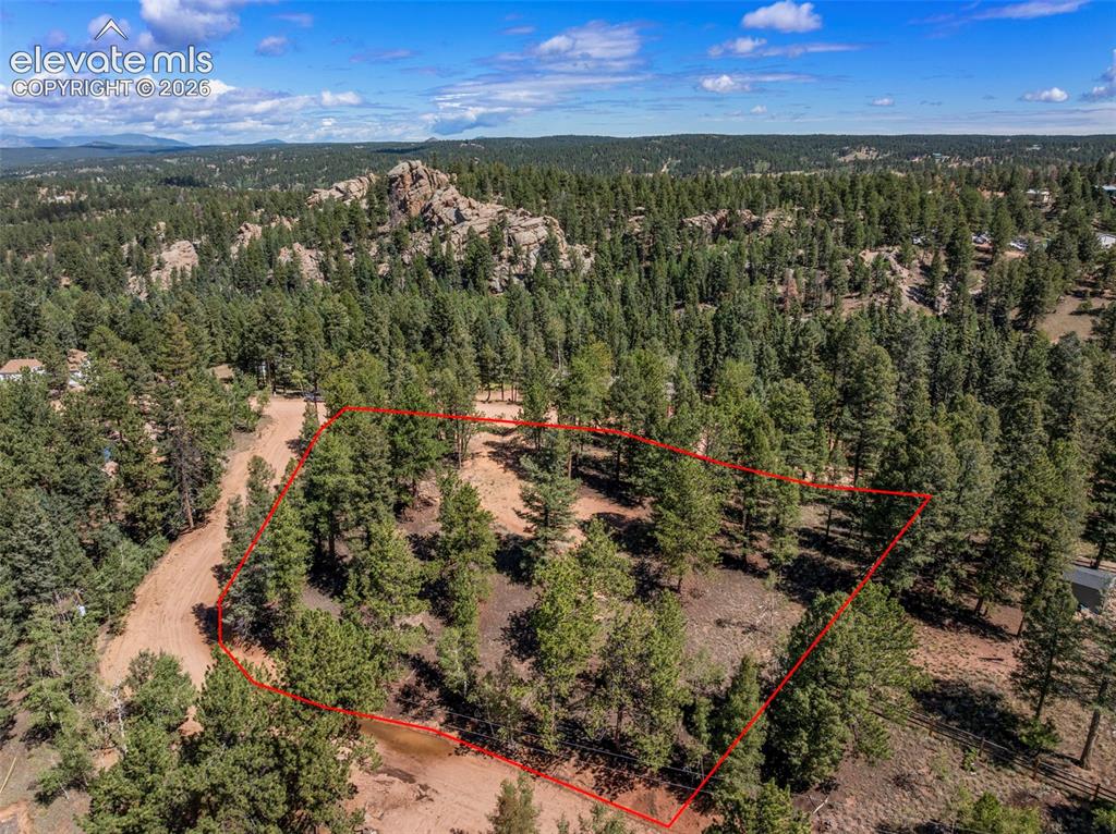 210 Donzi Trail Florissant CO 80816