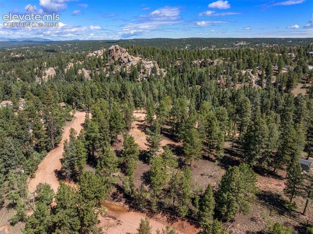 210 Donzi Trail Florissant CO 80816