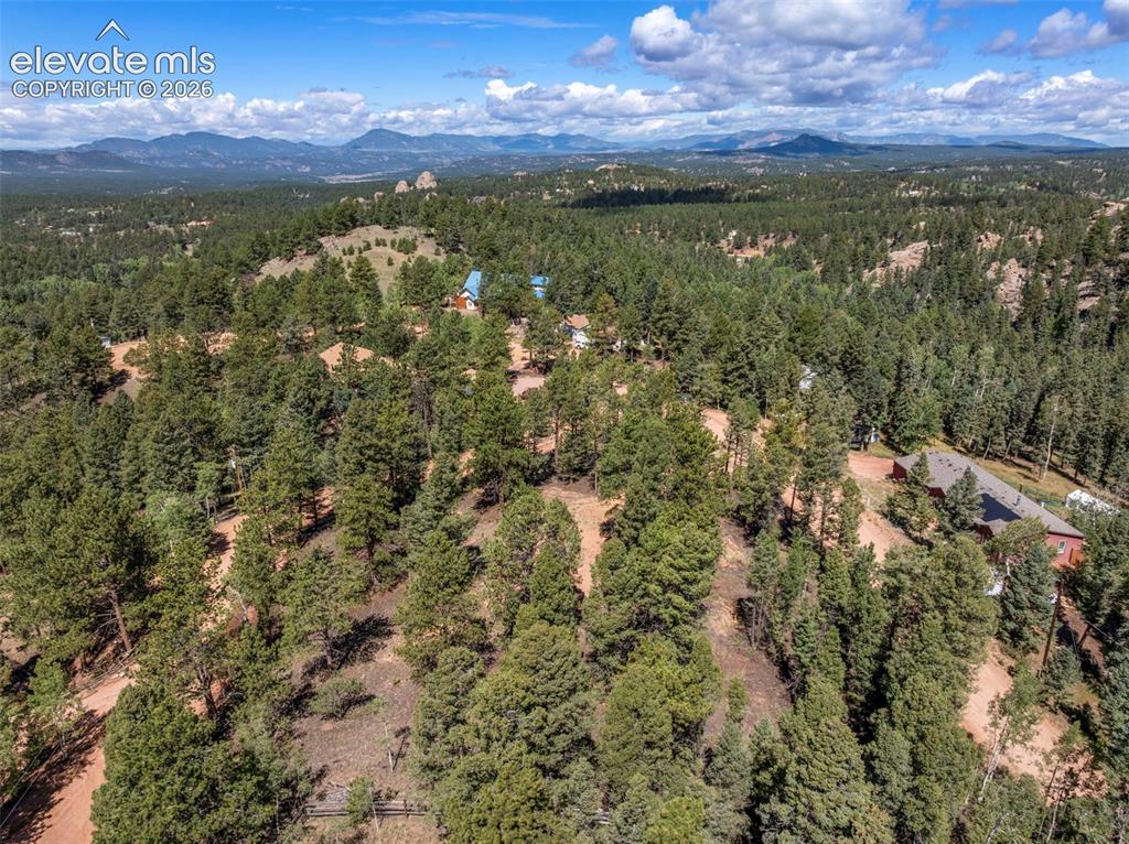 210 Donzi Trail Florissant CO 80816