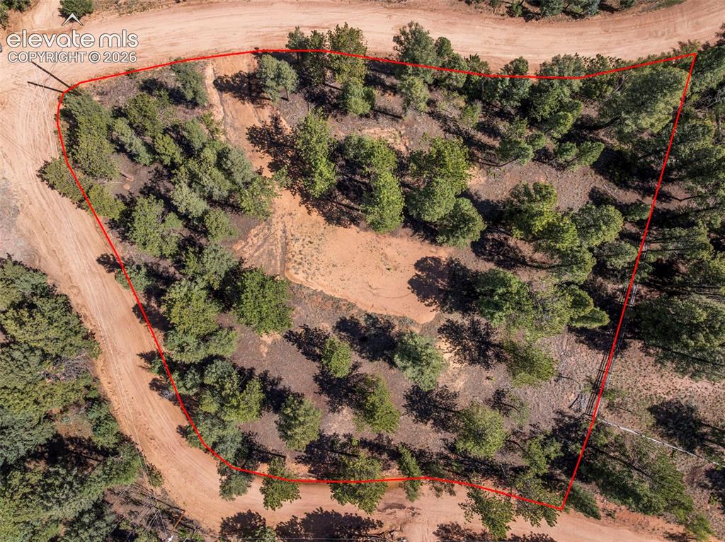 210 Donzi Trail Florissant CO 80816