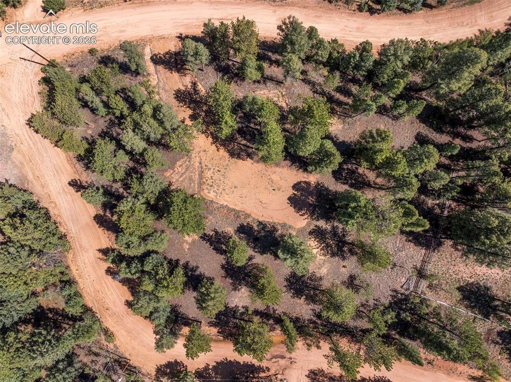 210 Donzi Trail Florissant CO 80816