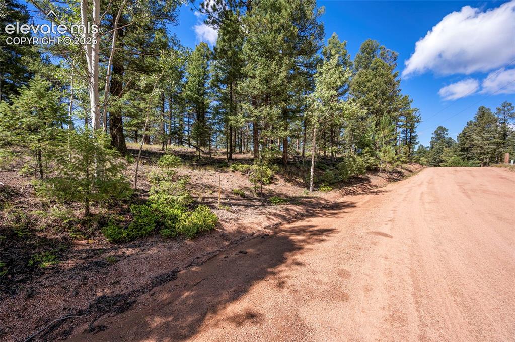210 Donzi Trail Florissant CO 80816