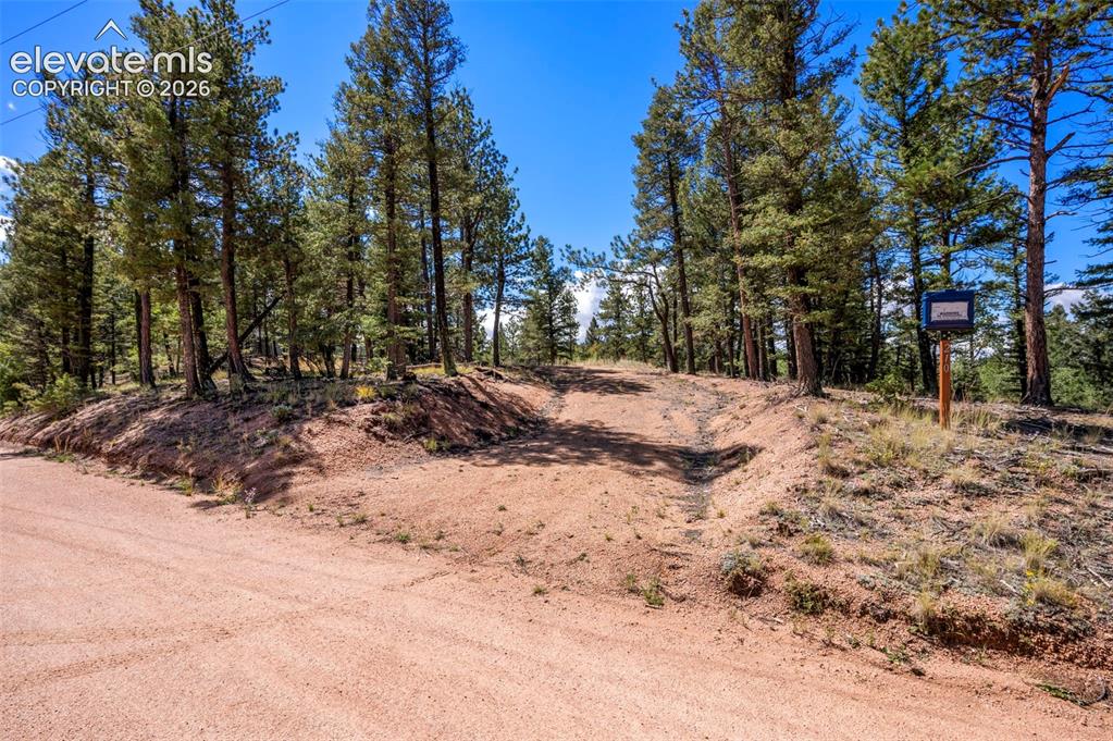 210 Donzi Trail Florissant CO 80816