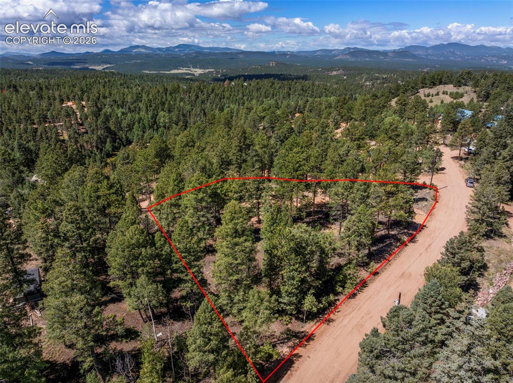 210 Donzi Trail Florissant CO 80816
