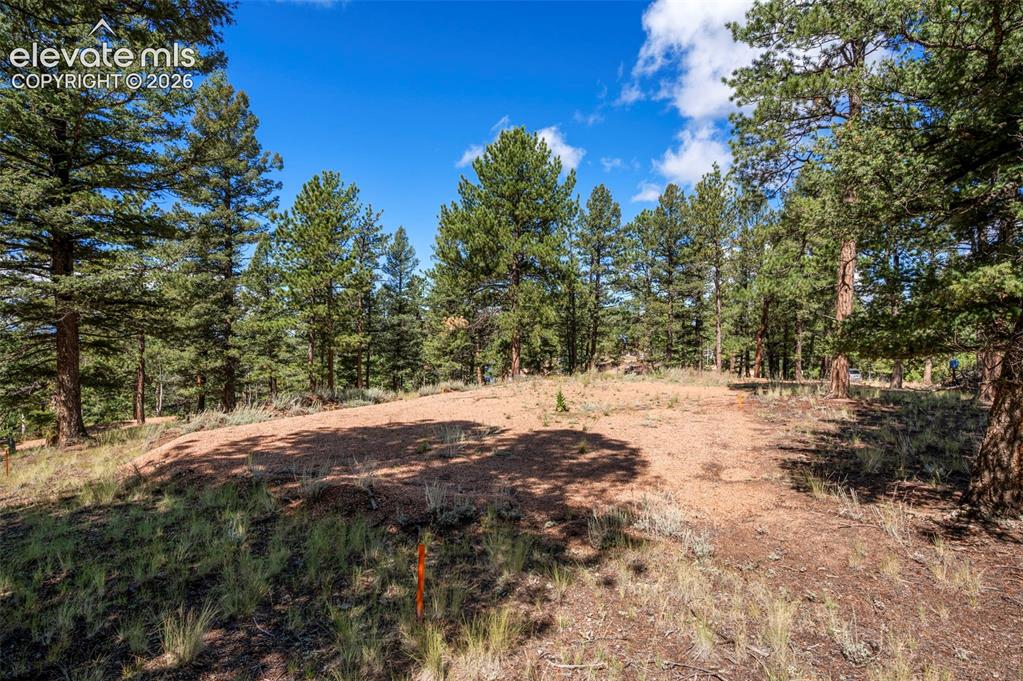 210 Donzi Trail Florissant CO 80816