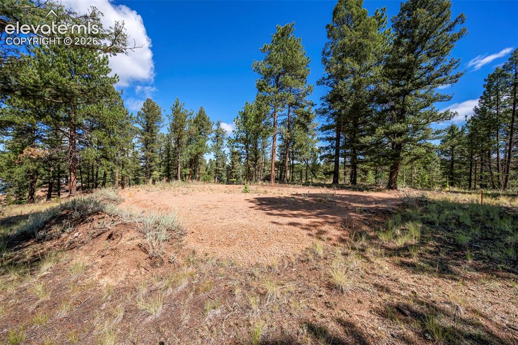 210 Donzi Trail Florissant CO 80816