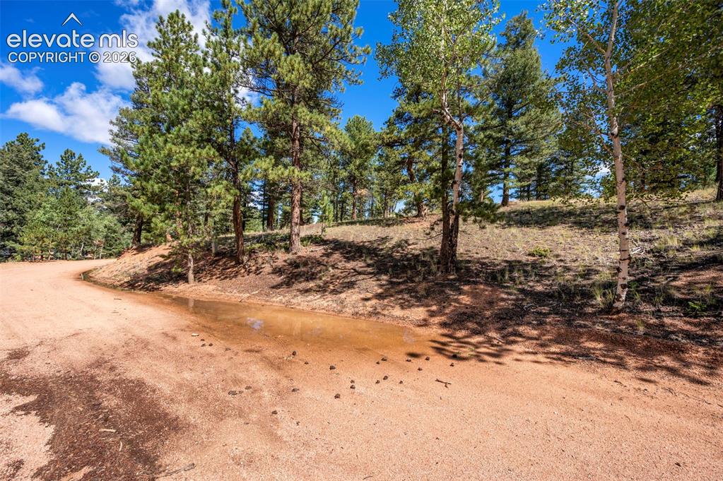 210 Donzi Trail Florissant CO 80816