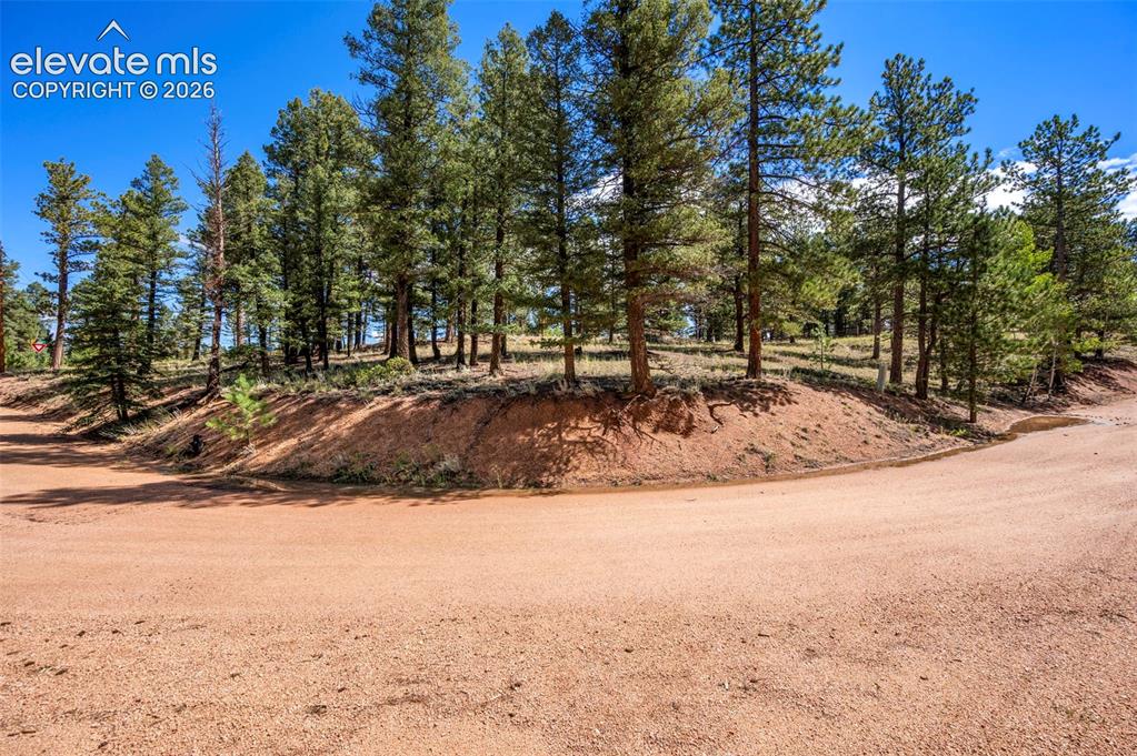210 Donzi Trail Florissant CO 80816