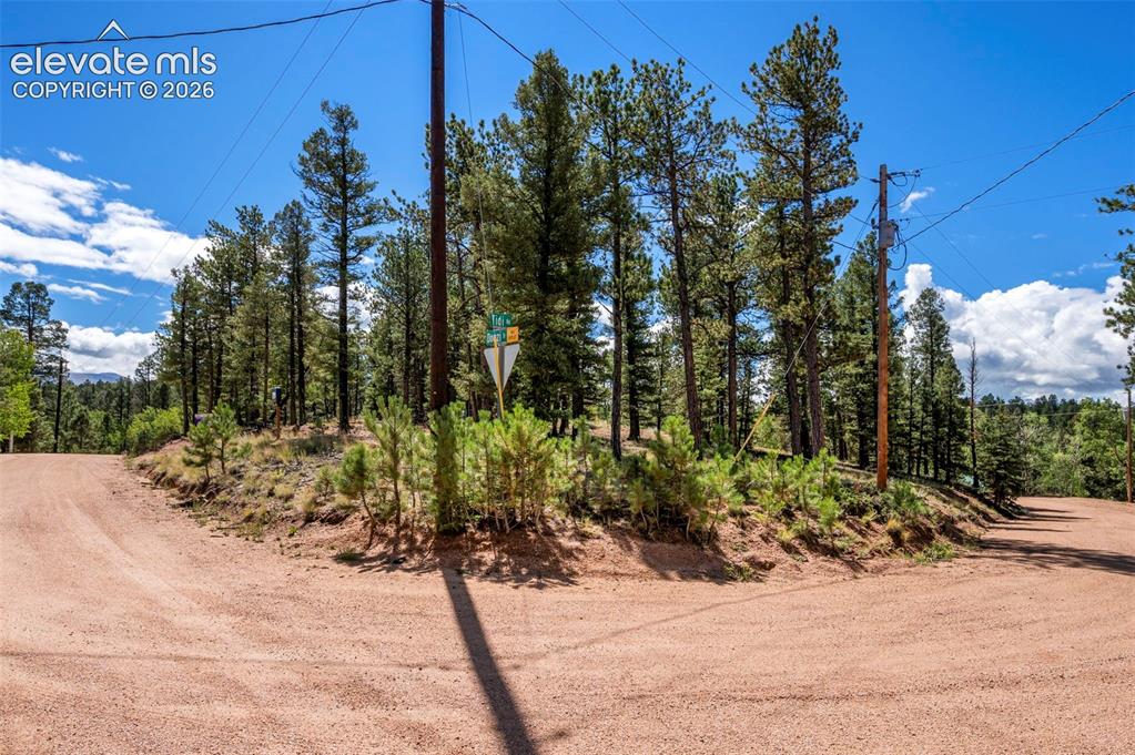 210 Donzi Trail Florissant CO 80816
