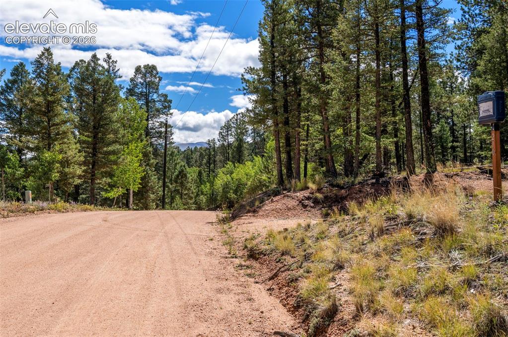 210 Donzi Trail Florissant CO 80816