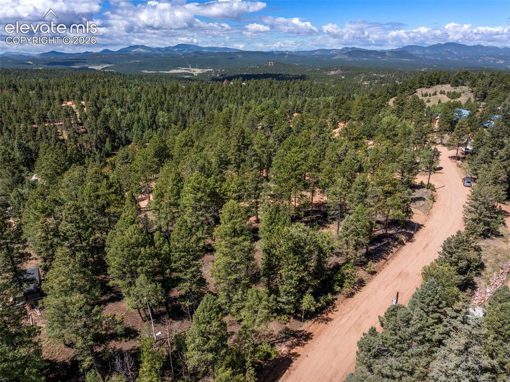 210 Donzi Trail Florissant CO 80816