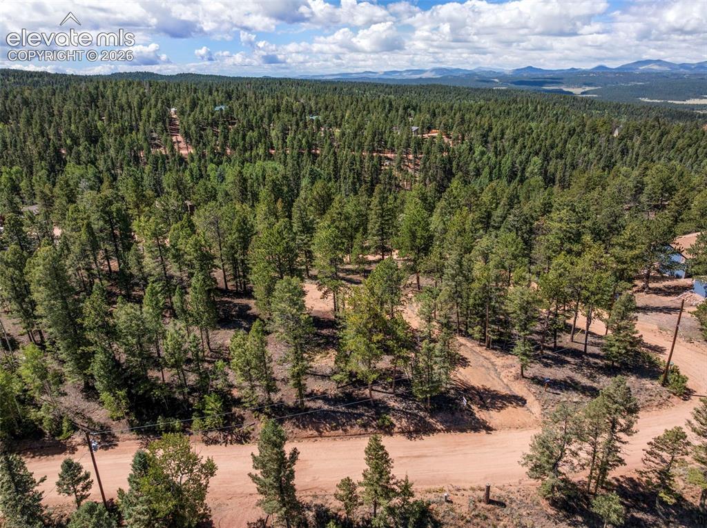 210 Donzi Trail Florissant CO 80816