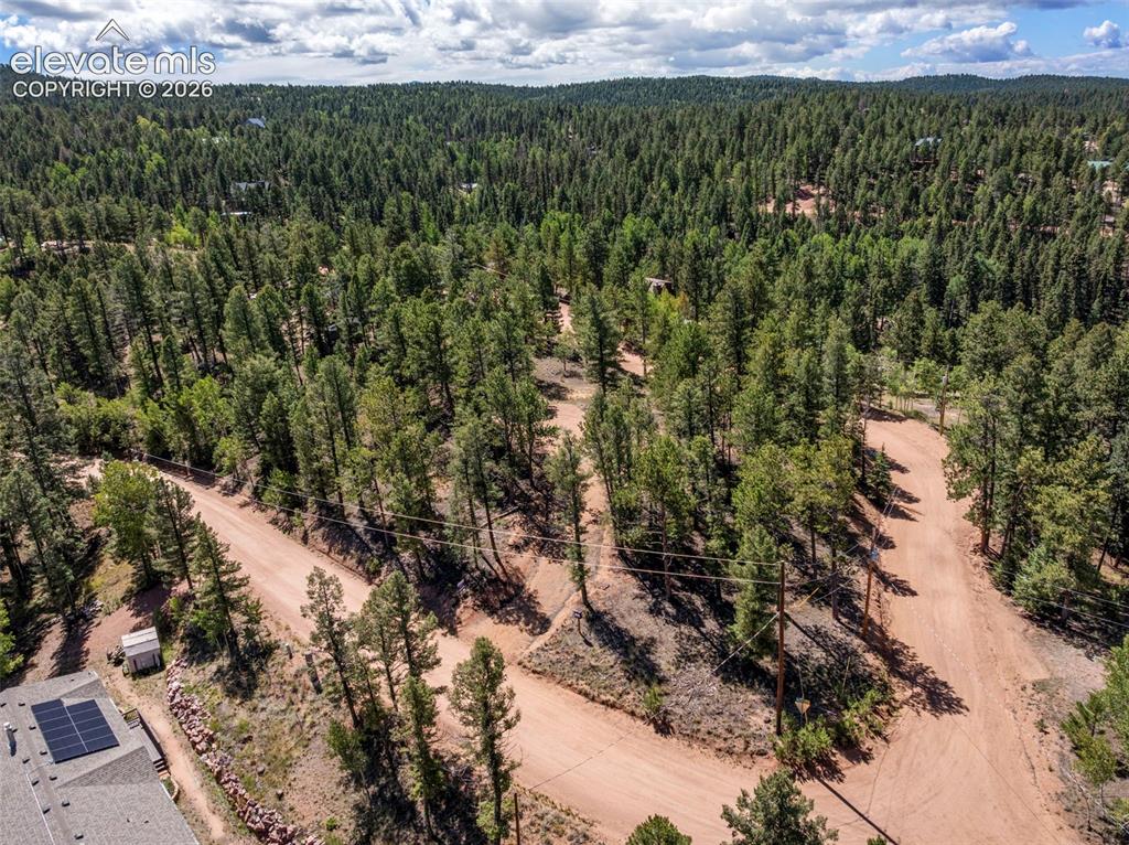 210 Donzi Trail Florissant CO 80816