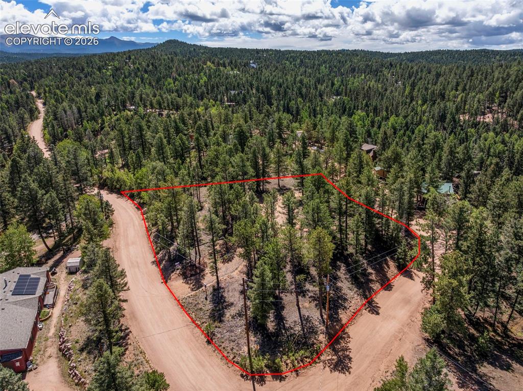 210 Donzi Trail Florissant CO 80816