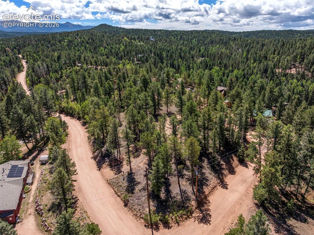 210 Donzi Trail Florissant CO 80816