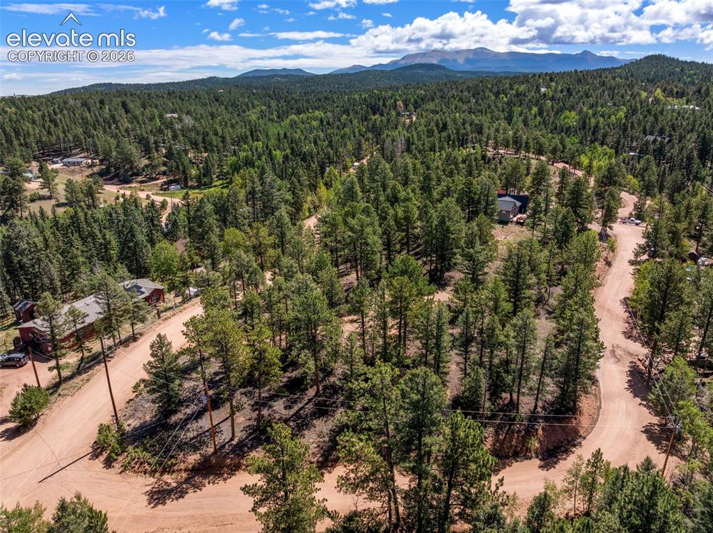 210 Donzi Trail Florissant CO 80816