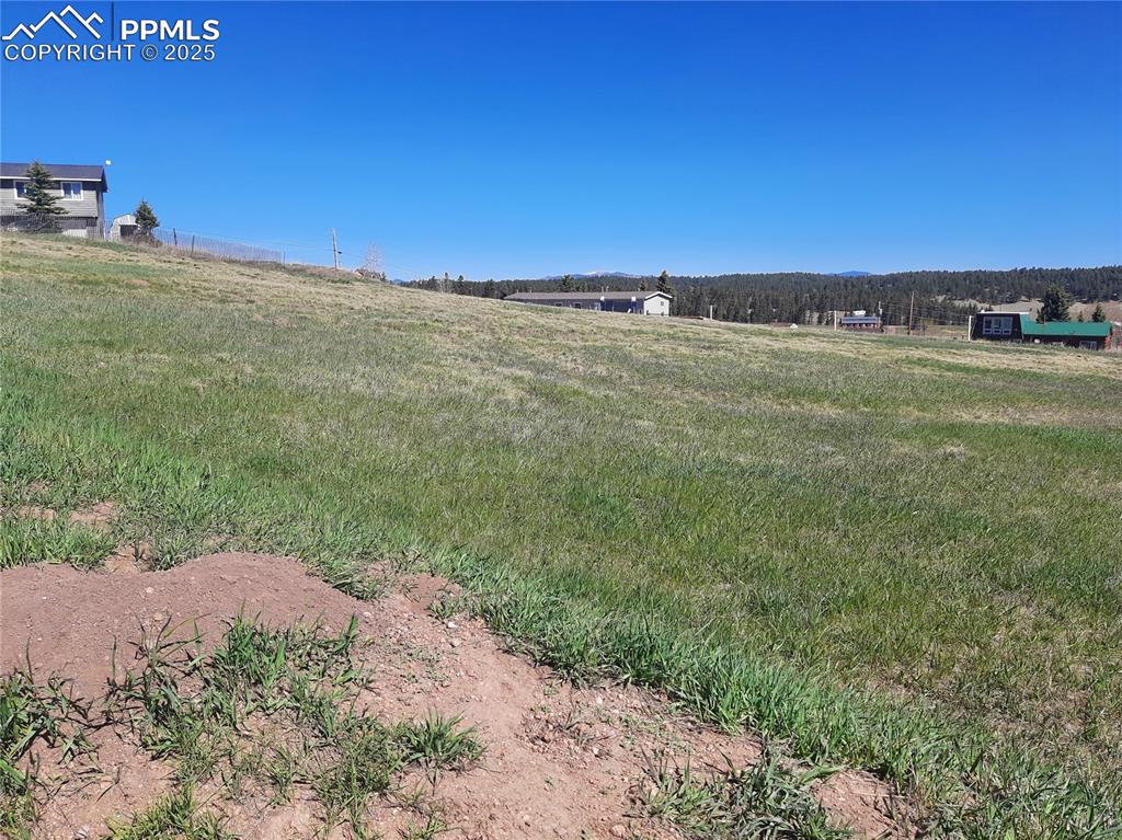 149 Will Scarlet Drive Divide CO 80814