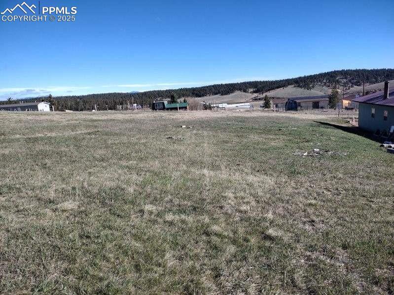 149 Will Scarlet Drive Divide CO 80814