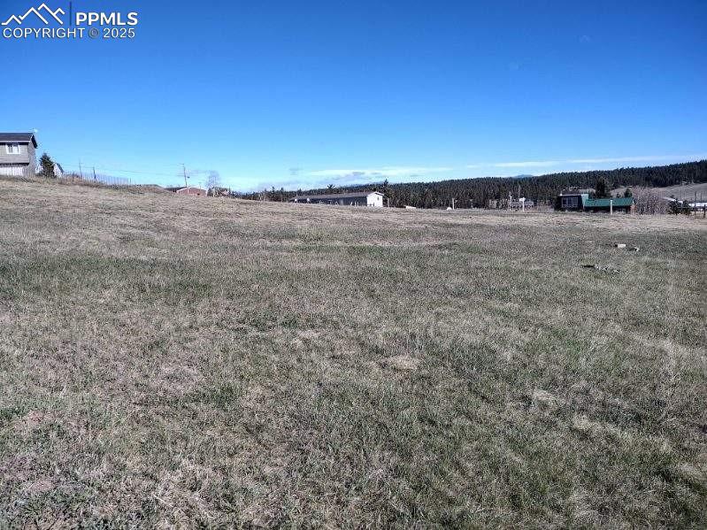 149 Will Scarlet Drive Divide CO 80814