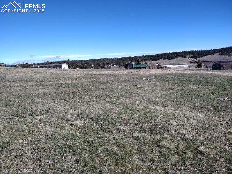 149 Will Scarlet Drive Divide CO 80814
