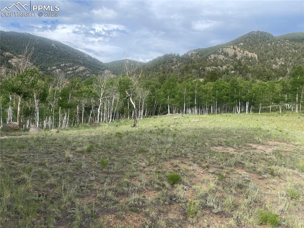 171 Emerald Way Lake George CO 80827