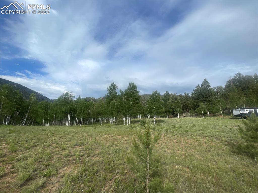 171 Emerald Way Lake George CO 80827