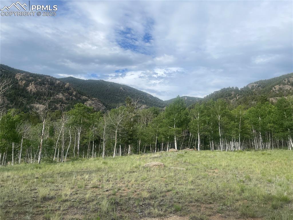 171 Emerald Way Lake George CO 80827