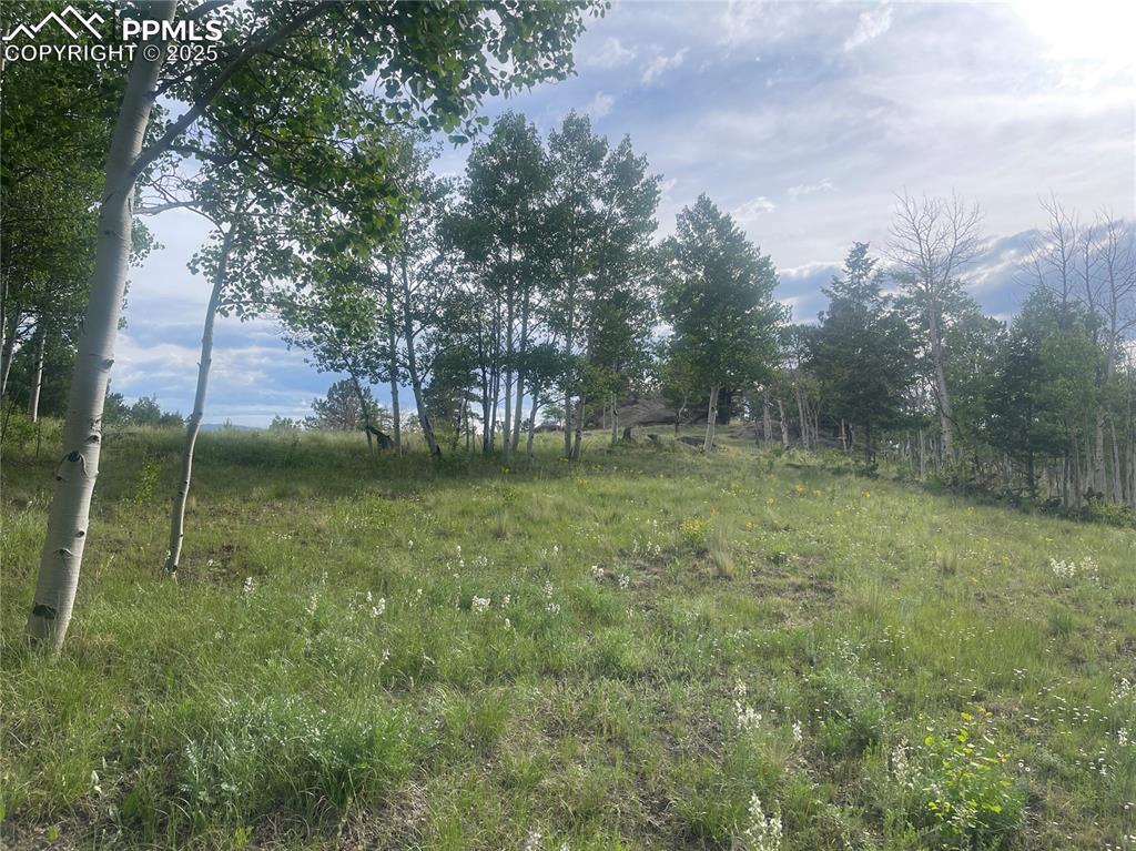 171 Emerald Way Lake George CO 80827