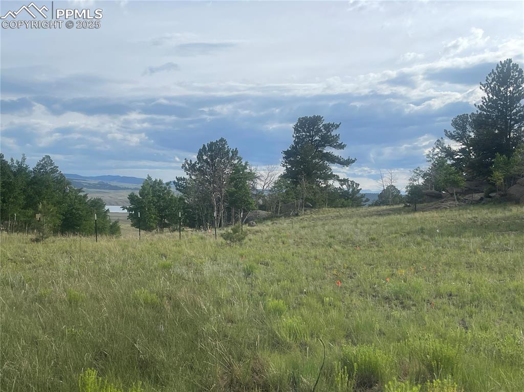 171 Emerald Way Lake George CO 80827