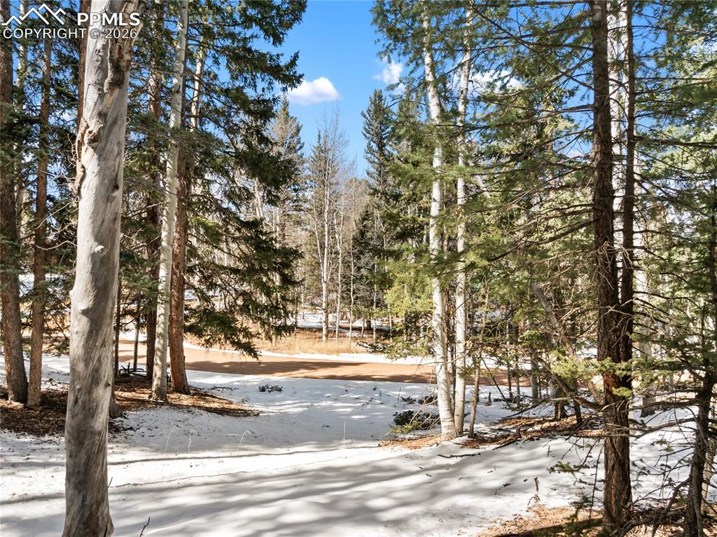 358 Pawutsy Road Florissant CO 80816