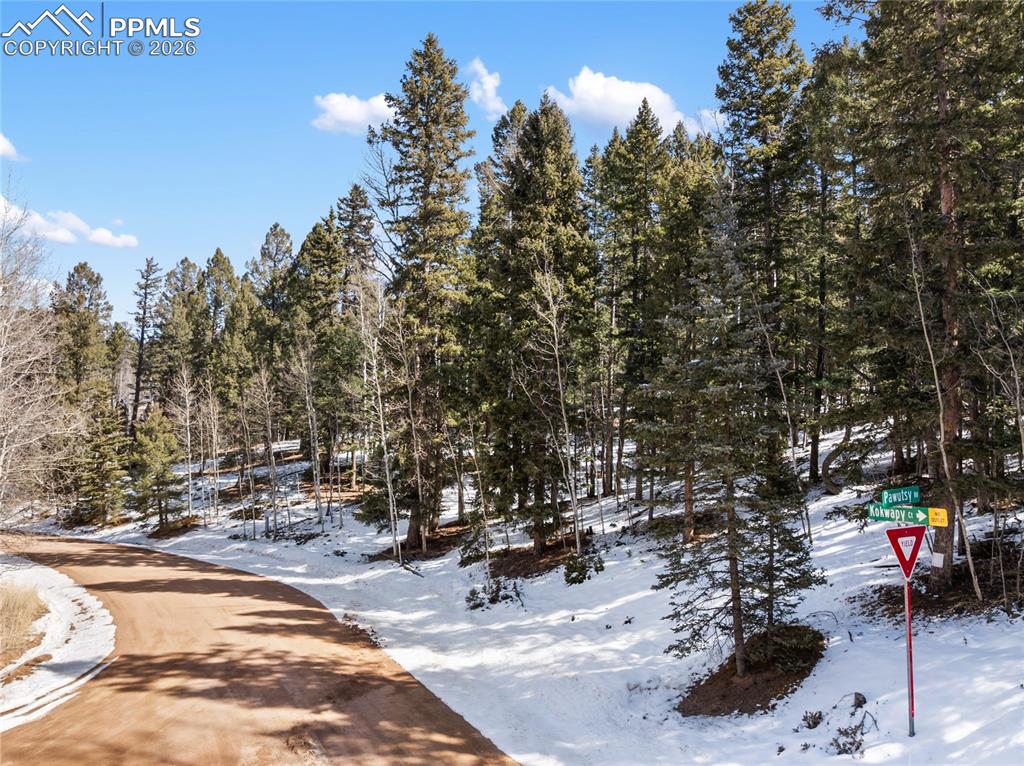 358 Pawutsy Road Florissant CO 80816