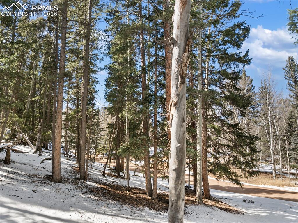 358 Pawutsy Road Florissant CO 80816