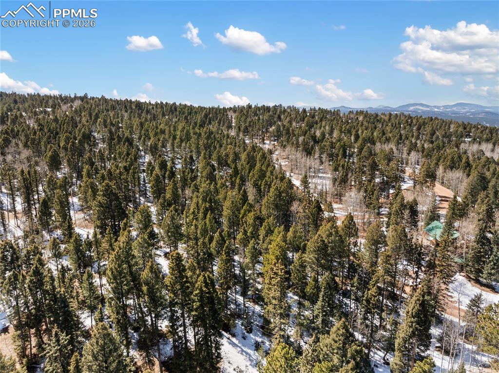 358 Pawutsy Road Florissant CO 80816