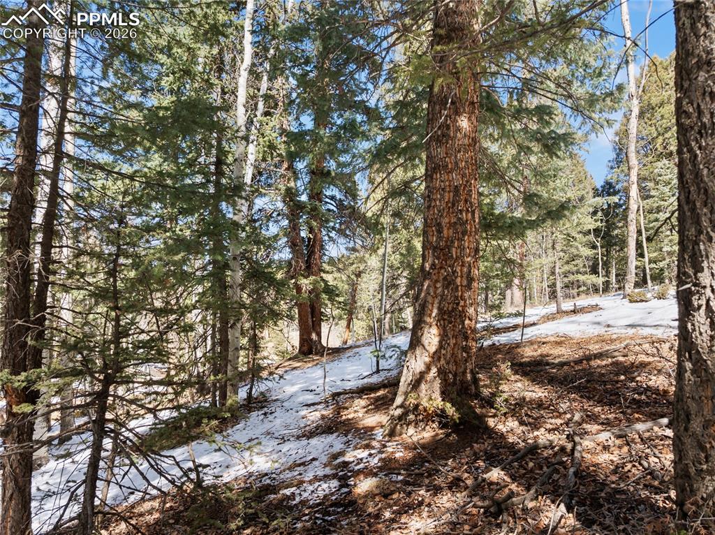 358 Pawutsy Road Florissant CO 80816