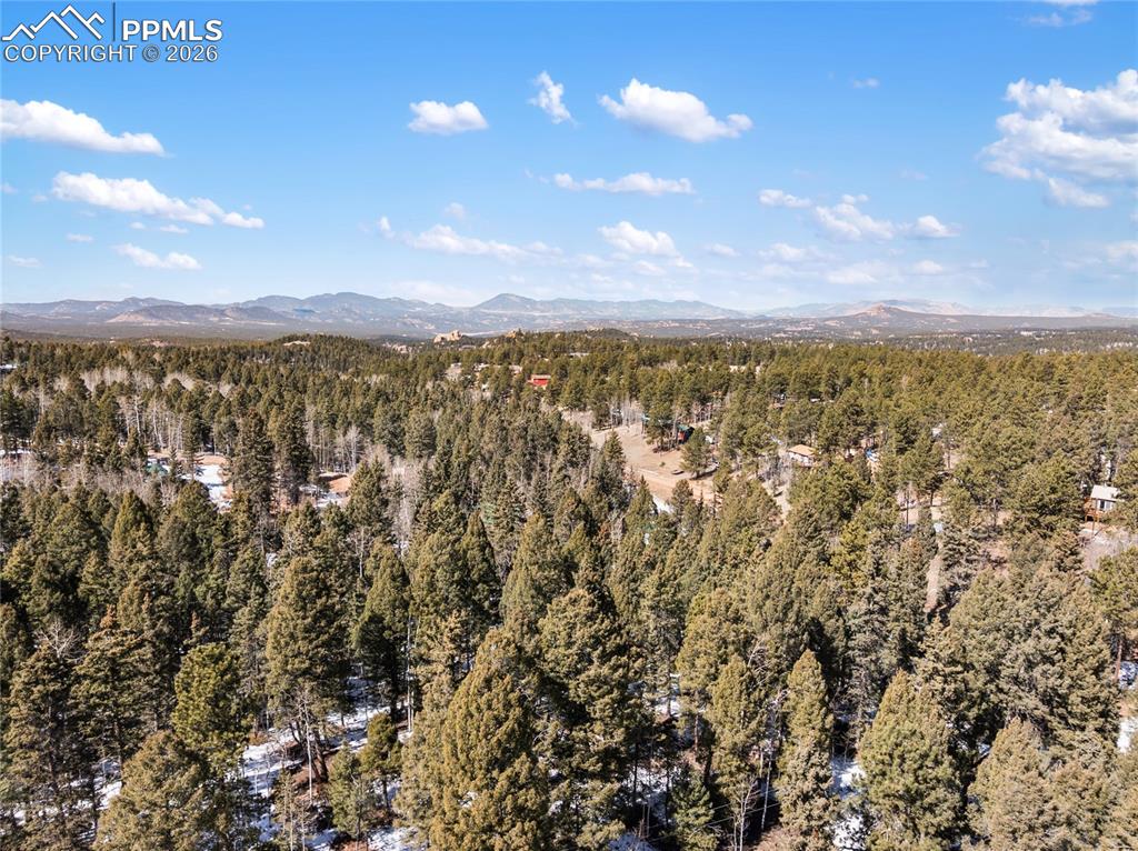 358 Pawutsy Road Florissant CO 80816