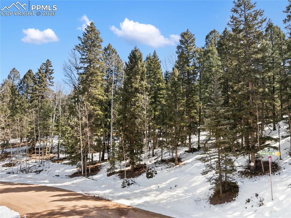358 Pawutsy Road Florissant CO 80816