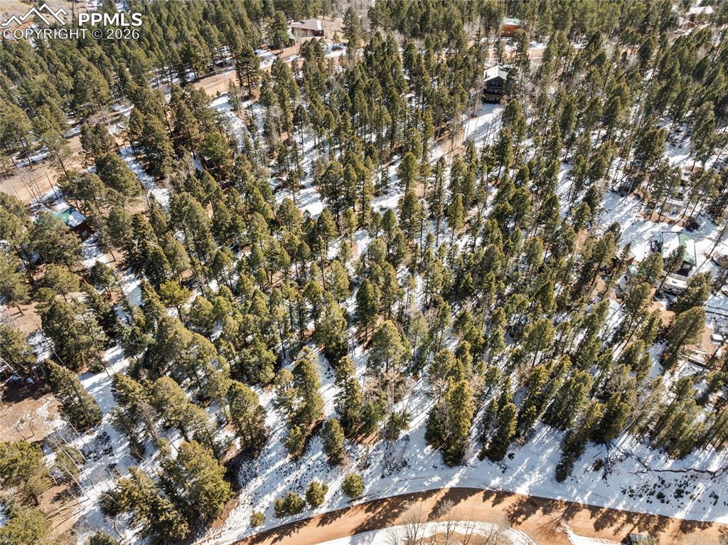 358 Pawutsy Road Florissant CO 80816