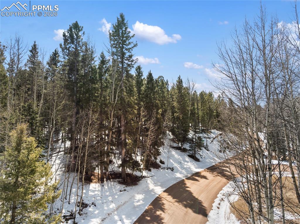 358 Pawutsy Road Florissant CO 80816