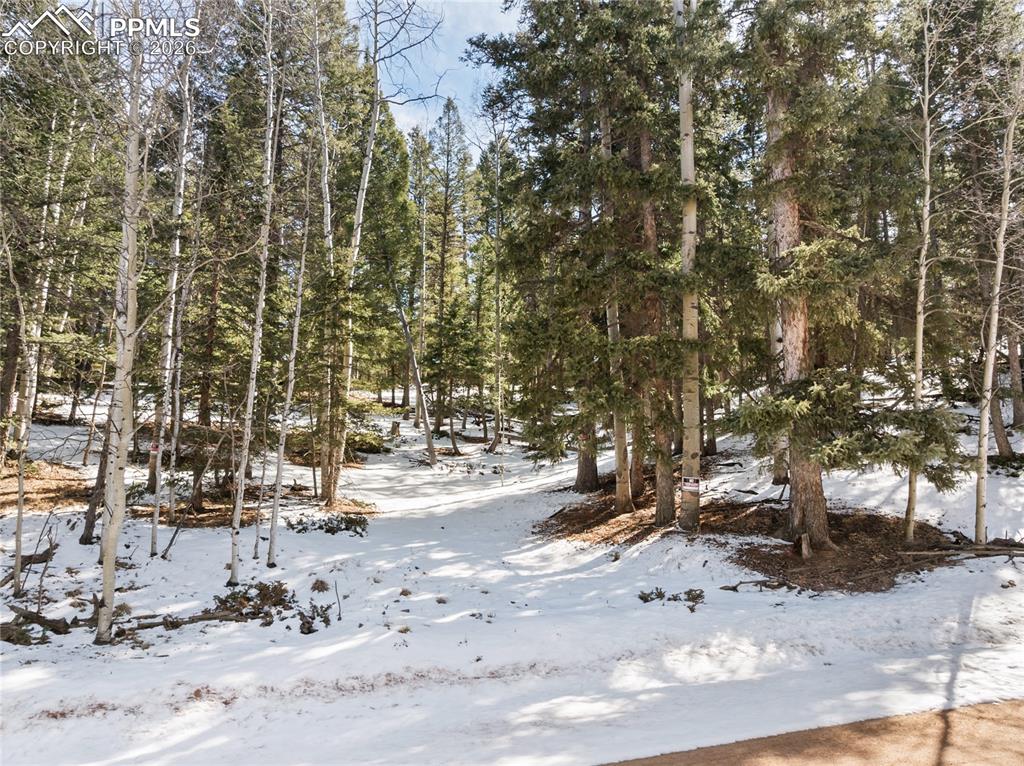 358 Pawutsy Road Florissant CO 80816