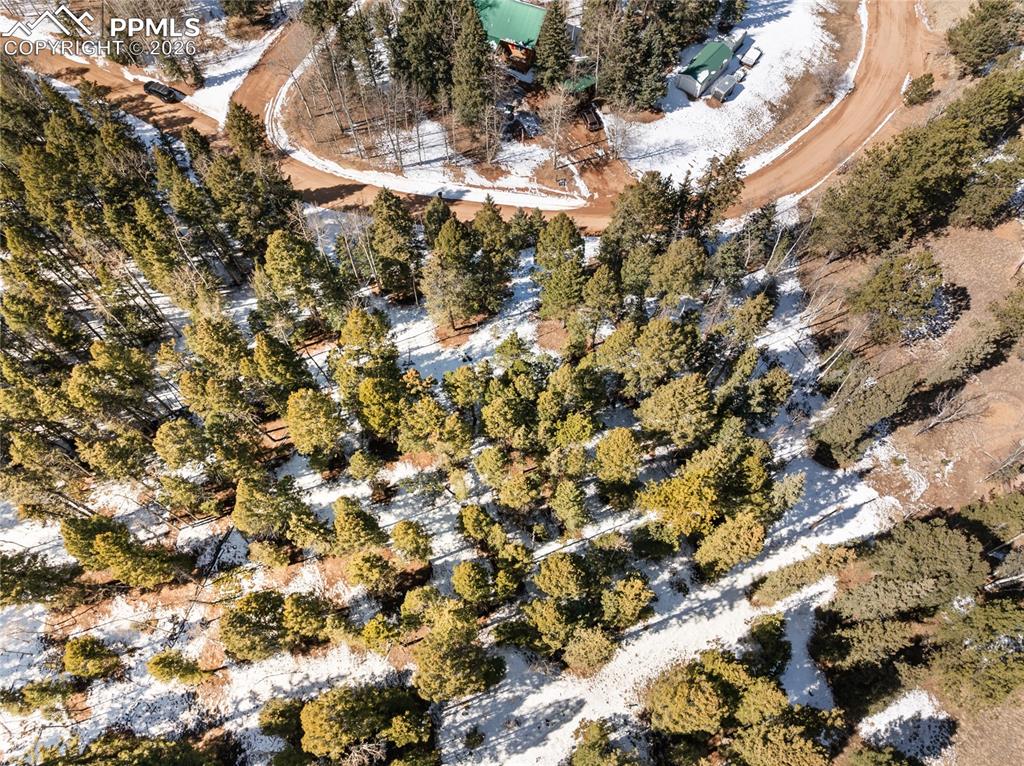 358 Pawutsy Road Florissant CO 80816