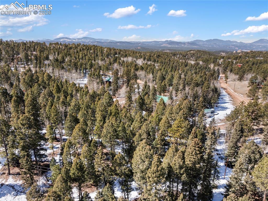 358 Pawutsy Road Florissant CO 80816