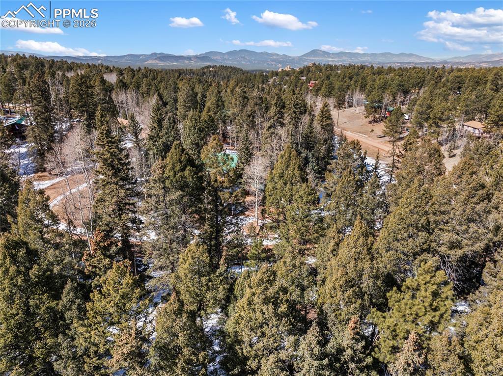 358 Pawutsy Road Florissant CO 80816