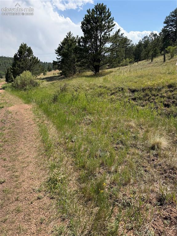 39 Rabbil Creek Trail Florissant CO 80816