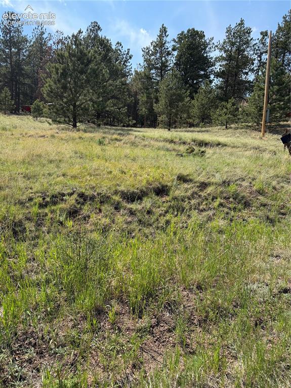 39 Rabbil Creek Trail Florissant CO 80816