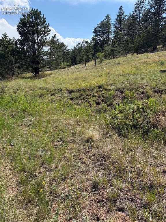 39 Rabbil Creek Trail Florissant CO 80816