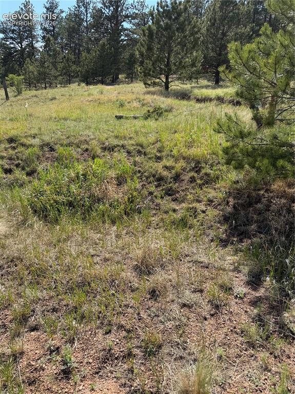 39 Rabbil Creek Trail Florissant CO 80816