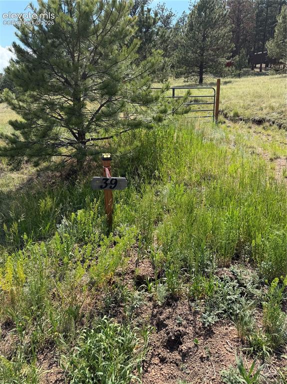 39 Rabbil Creek Trail Florissant CO 80816